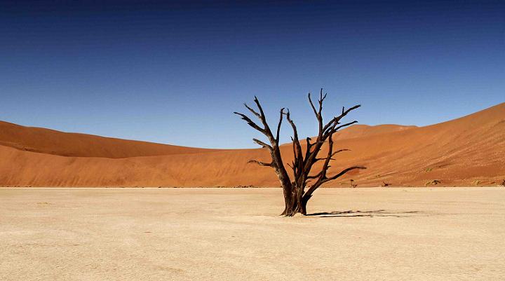 namib