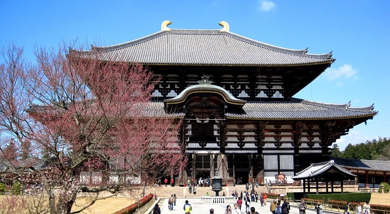 todai-ji-de-nara