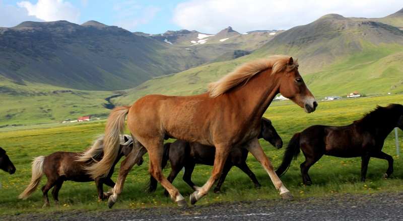 Consejos viajar Islandia
