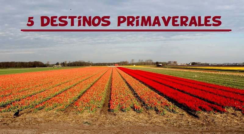 Destinos para primavera
