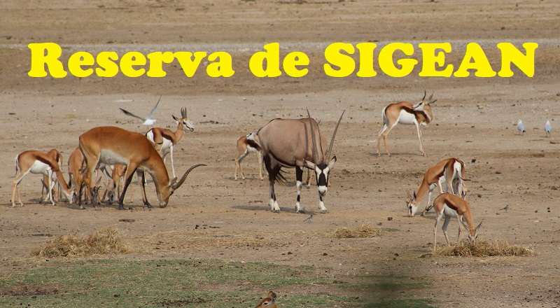 Visitar Sigean