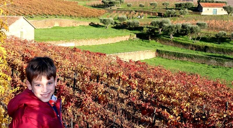 Valle del Duero