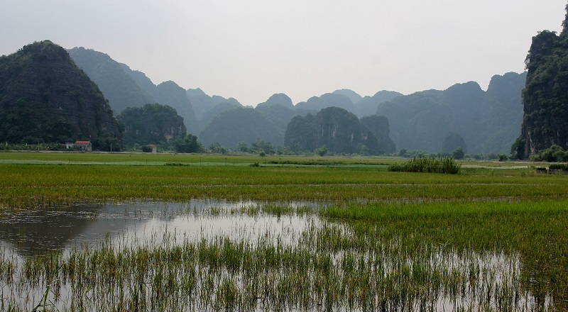Excursión a Tam Coc desde Hanoi