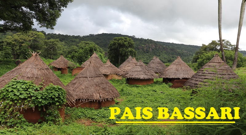 pais-bassari