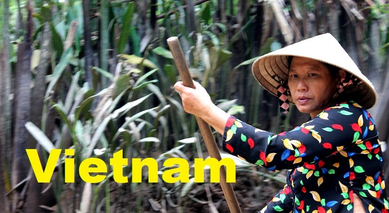 Que ver en Vietnam Imprescindibles que ver en Vietnam