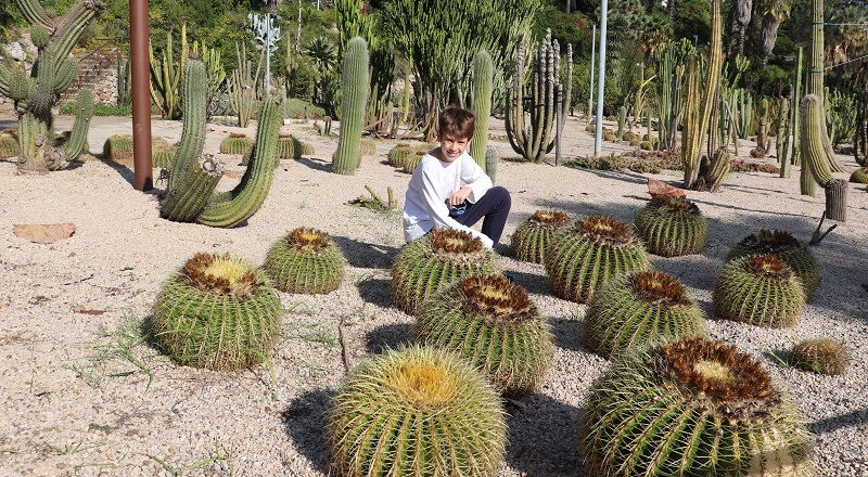 Jardins Mossèn Costa i Llobera