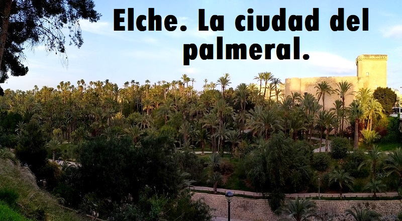 Qué ver en Elche Qué ver en Elche
