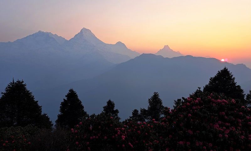 Trekking Poon Hill