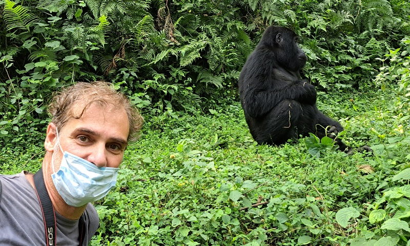 trekking de los gorilas en Uganda